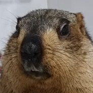 HydroVall - steam id 76561198114847113