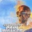 Celebrity Paul Walker