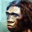 Homo erectus