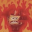 Fire Sponge