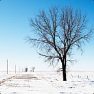 Andy - steam id 76561197960366978