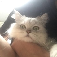 喵爷不爱小鱼干儿丶