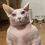 ?