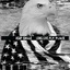 A$AP Eagle