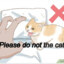 please do not the cat