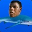 SHARK FINN