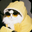 Erkrow's avatar