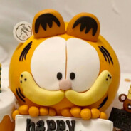 冷漠杀手加菲猫