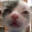 stinkybean
