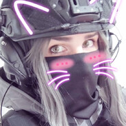 仿生英雄会击倒电子恶龙吗