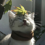 Avatar snapshot