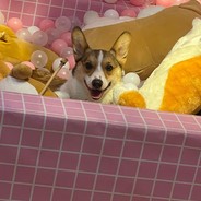 【甲亢分子拔氧干拉 】