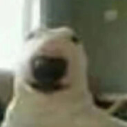 只滋不蹦寸止挑战