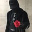 kot_няфка