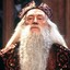 DirtyDumbledore