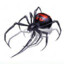 SPIDER_FLASH 1235