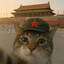 不温和的良夜