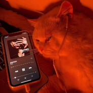 每根jio指都是阿尔卑斯