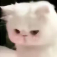 小猫香菜牛肉堡