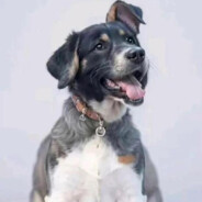 你说你是块金子，但凌晨的绝密航天金碧辉煌