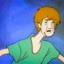 Shaggy