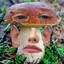 DanikPoganik