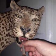 LowkeySharpie