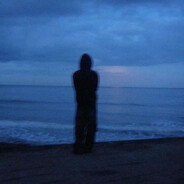 LU avatar