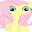 Shocked Fluttershy avatar