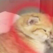 Pee