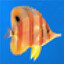 ne