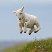 cABRITINHO