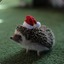 hedgehog in a hat