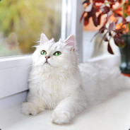 美景如此的美好