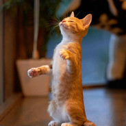 中年手抖反应慢还掉帧