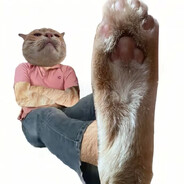 曾许人间第一流