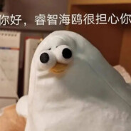 我是傻子你是吗？