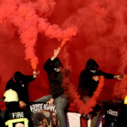 Capi_painera