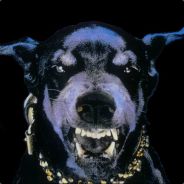 WarDog