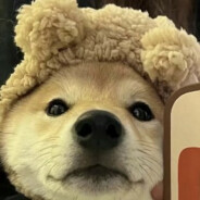 它说的很对，你还是听