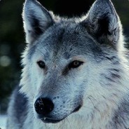 Kalidor78 - steam id 76561197970975287