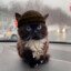 steerit-