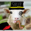 sheepwithtea