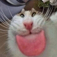 WalkeR1337's avatar