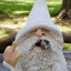 White Wizard