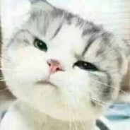 （｡ò ∀ ó｡）