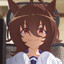 CatFire2317