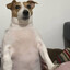 Wodash