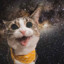 Astrokitty