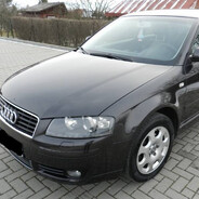 audia3_8p_1.6fsi_skins.army